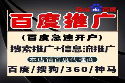 某行业sem竞价托管成功案例：精准投放的秘诀